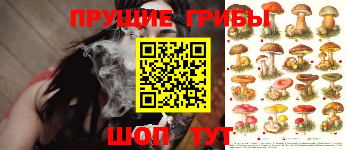 Галлюциногенные грибы Cubensis Воронеж
