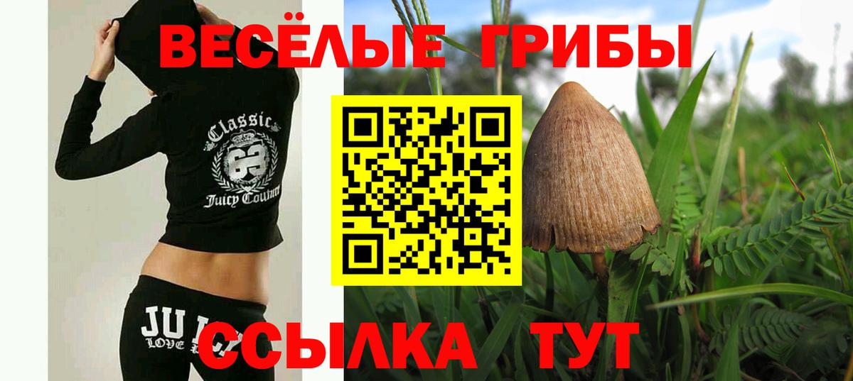 Воронеж  Псилоцибиновые грибы GOLDEN TEACHER  Вход с VPN 
